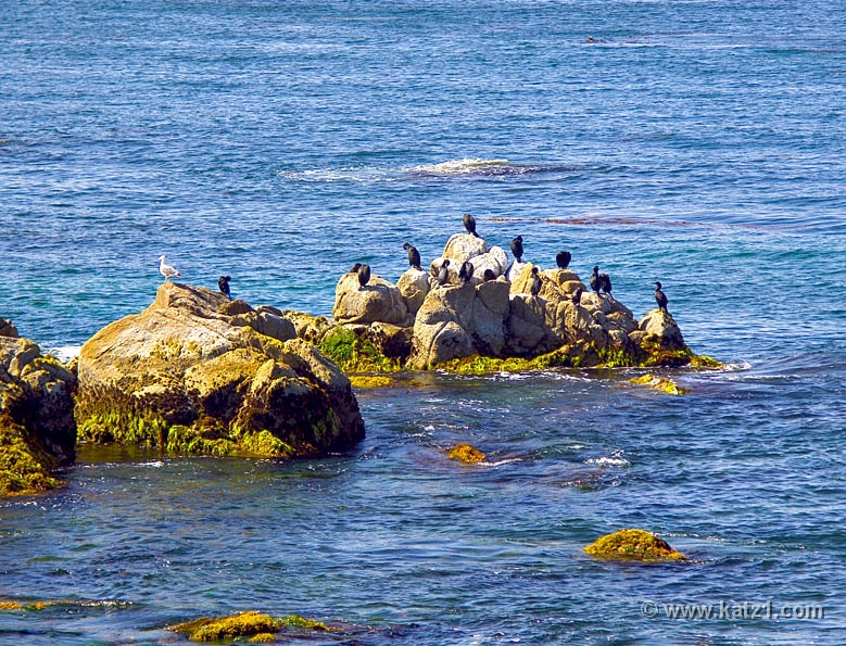 Monterey 3